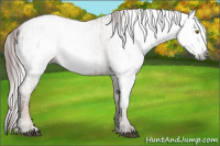Horse Color:Gray Liver Chestnut Pearl  and Gray Liver Chestnut Pearl 