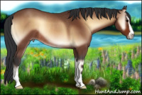 Horse Color:Brown Onyx Sabino Rabicano 
