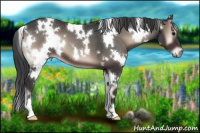 Horse Color:White Spotted Blue Onyx 