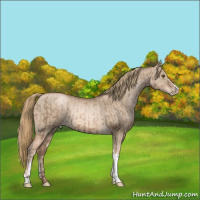 Horse Color:Liver Chestnut Pearl  and Liver Red Dun Pearl 