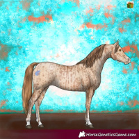 Horse Color:Bay Pearl  and Buckskin Pearl 