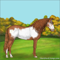 Horse Color:Chestnut Frame