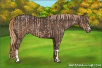 Horse Color:Liver Chestnut Pearl  and Liver Chestnut 