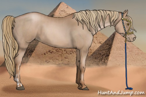 Horse Color:Liver Chestnut Pearl and Liver Chestnut Pearl