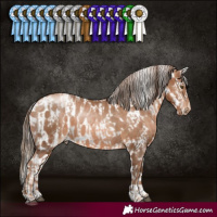 Horse Color:Liver Chestnut Pearl Sabino Tobiano  and White Spotted Brown Pearl Appaloosa 
