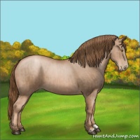 Horse Color:Liver Chestnut Pearl  and Liver Chestnut Pearl 