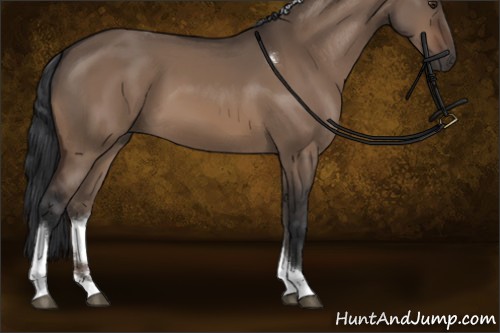 Horse Color:Brown Dun Sabino Tobiano Rabicano