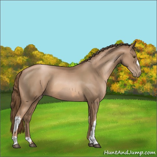 Horse Color:Liver Chestnut Pearl  and Liver Chestnut Pearl 