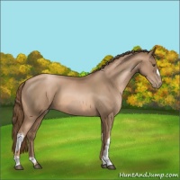 Horse Color:Liver Chestnut Pearl  and Liver Chestnut Pearl 