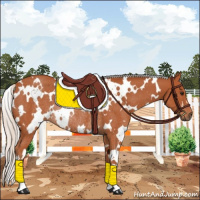 Horse Color:White Spotted Silver Brown Rabicano