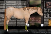 Horse Color:Bay Roan Pearl  and Bay Roan Pearl 