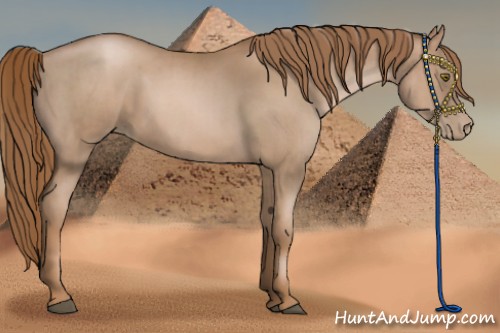 Horse Color:Liver Chestnut Pearl  and Liver Chestnut Pearl 