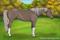 Horse Color:Silver Black 