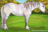 Horse Color:Nacre Chocolate Silver Brown Chinchilla Ice Sabino 