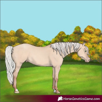 Horse Color:Silver Sable Champagne Dun 