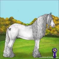 Horse Color:Silver Brown Chinchilla Ice Tobiano Rabicano 