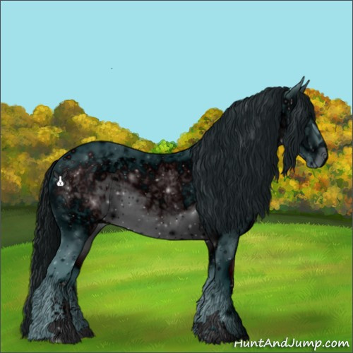 Horse Color:ERROR: UNKNOWN ANOMALY