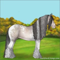 Horse Color:Platinum Sable Champagne Tobiano 