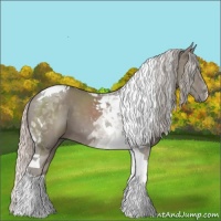 Horse Color:Silver Grullo Tobiano