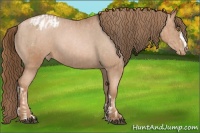 Horse Color:Liver Red Roan Pearl  and Liver Red Roan Pearl Varnish 