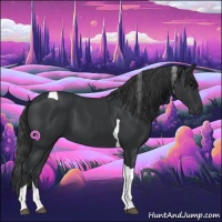 Horse Color:Black Tobiano 