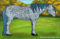 Horse Color:ERROR: UNKNOWN ANOMALY