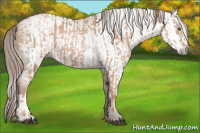 Horse Color:Liver Chestnut Pearl  and Gray Liver Chestnut Pearl 