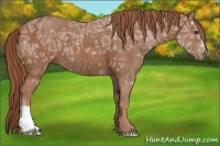 Horse Color:Chestnut Ice 