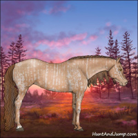 Horse Color:Platinum Liver Chestnut Pearl  and Liver Chestnut Pearl Rabicano 