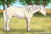 Horse Color:Silver Buckskin Pearl 
