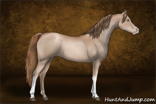 Horse Color:Liver Chestnut Pearl and Liver Chestnut Pearl