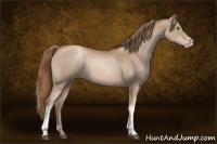 Horse Color:Liver Chestnut Pearl  and Liver Chestnut Pearl 