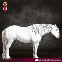 Horse Color:Brown Roan Tobiano Varnish