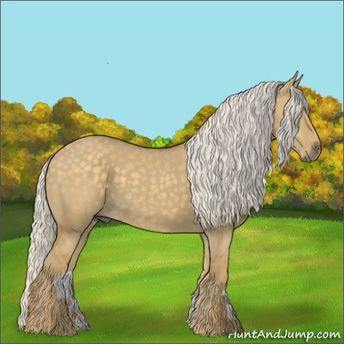 Horse Color:Silver Smoky Grullo 