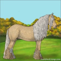 Horse Color:Silver Smoky Grullo