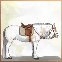 Horse Color:Bay Dun Sabino  and Bay Dun Sabino 