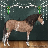 Horse Color:Brown Roan Sabino  and White Spotted Brown Dun Sabino 