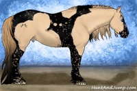 Horse Color:Void Gold Champagne Splash Tobiano