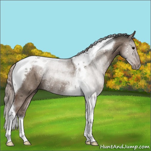 Horse Color:Silver Grullo Tobiano Rabicano