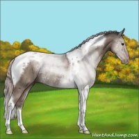 Horse Color:Silver Grullo Tobiano Rabicano 