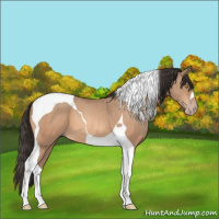 Horse Color:Amber Champagne Tobiano