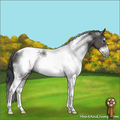 Horse Color:Black Sabino Tobiano Frame Rabicano 