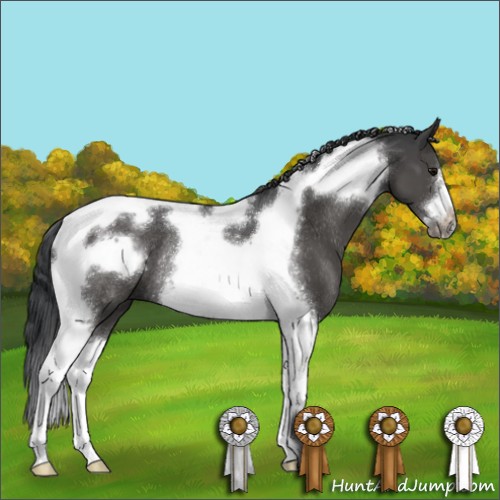 Horse Color:Black Tobiano Frame Rabicano 