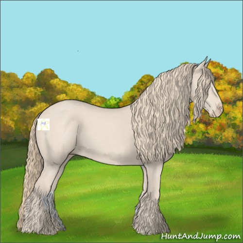 Horse Color:Smoky Creme Roan 