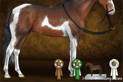 Horse Color:Brown Sabino Tobiano 