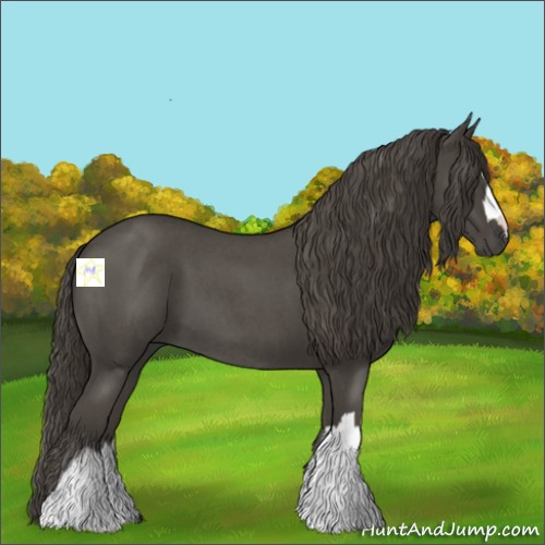 Horse Color:Smoky Blue Roan 