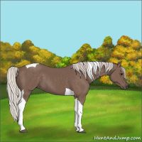 Horse Color:Silver Black Tobiano 
