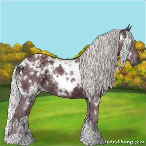 Horse Color:White Spotted Chocolate Silver Black Chinchilla 