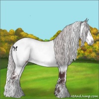 Horse Color:White Spotted Chocolate Silver Bay Chinchilla 