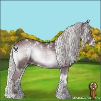 Horse Color:White Spotted Chocolate Silver Blue Onyx Chinchilla 